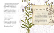 Load image into Gallery viewer, The Way of the Wildflower : Gospel Meditations to Unburden Y