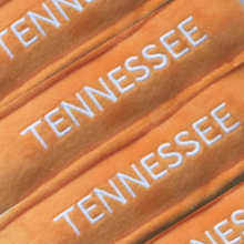 Load image into Gallery viewer, Tennessee State Stuffed Plush  -  TN Vols