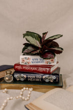 Load image into Gallery viewer, Stacked Books Planter, Jane Austen