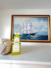 Load image into Gallery viewer, Seaweed & Sea Salt Shower Steamers