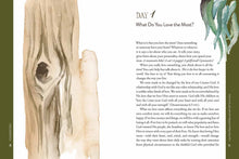 Load image into Gallery viewer, Foundations: 12 Biblical Truths to Shape a Family