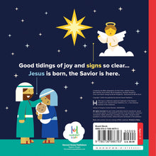 Load image into Gallery viewer, The Most Special Christmas Night, Book - Board Books