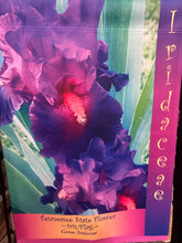 Load image into Gallery viewer, Ready to Fly House & Garden Flags