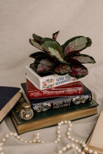 Load image into Gallery viewer, Stacked Books Planter, Jane Austen