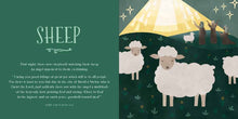 Load image into Gallery viewer, From Eden to Bethlehem, Kids' Board Book