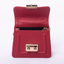 Load image into Gallery viewer, The Gigi- Mini Sling/Crossbody Bag