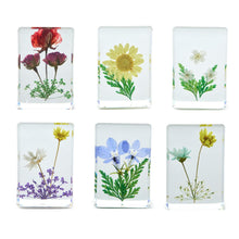 Load image into Gallery viewer, Wildflowers Pressed Floral Keepsake in Gift Box