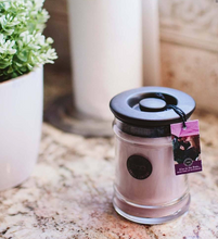 Load image into Gallery viewer, Kiss in the Rain- 8oz. Small Jar Candle