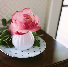Load image into Gallery viewer, Sweet Grace Collection Flower Diffuser