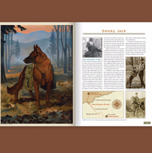 Load image into Gallery viewer, Illustrated Guide to Great Smoky Mountains National Park-soft cover coffee table book