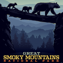 Load image into Gallery viewer, Great Smoky Mountains National Park Bear Crossing at Sunset