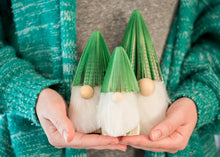 Load image into Gallery viewer, Green Book Gnome-Holiday Decor-Christmas-Book Gift: Small
