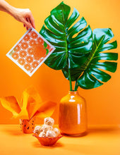 Load image into Gallery viewer, Orange Slices Swedish Cloth
