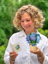 Load image into Gallery viewer, Mini Nantucket Hydrangeas
