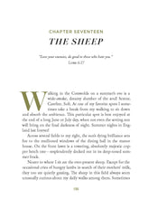 Load image into Gallery viewer, Meeting God in Quiet Places: Hardcover / English

