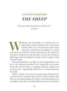 Meeting God in Quiet Places: Hardcover / English