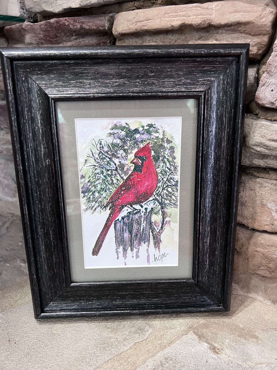 Snowy Cardinal 