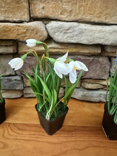 Load image into Gallery viewer, Faux Potted Flower
