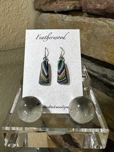 Tiny Triangle Featherwood Earrings