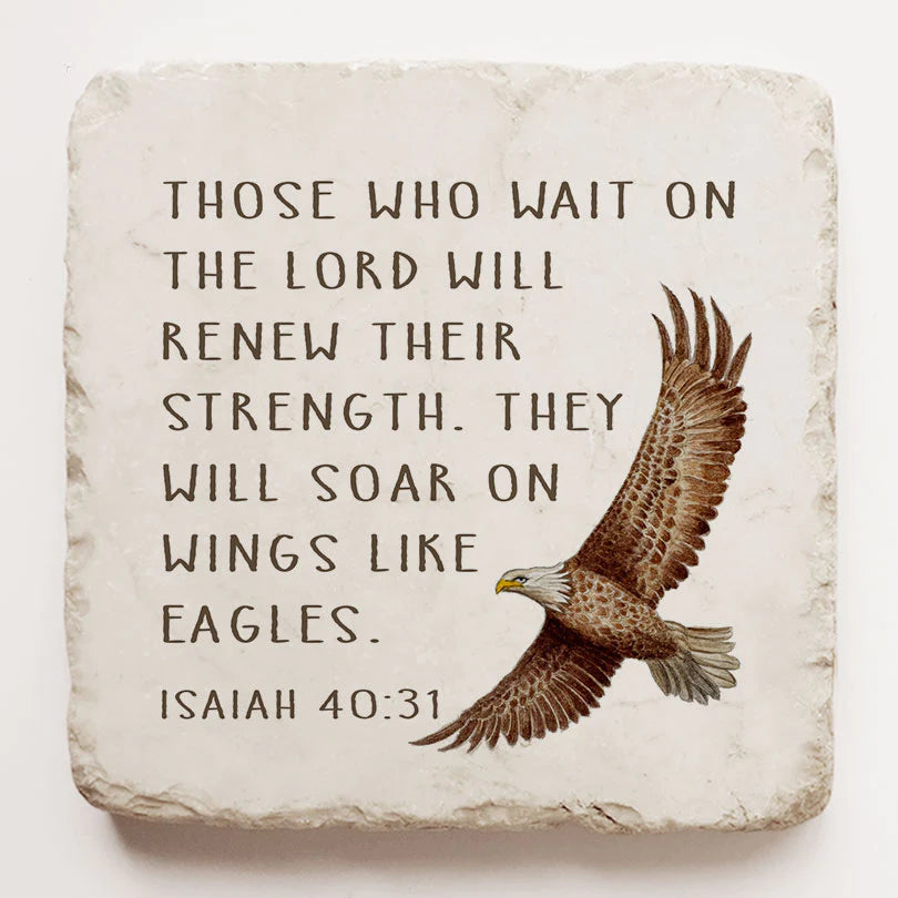 Isaiah 40:31 But those who wait in the Lord