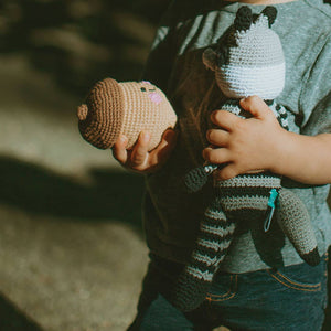 Friendly Plush Acorn