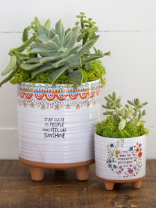Artisan Terracotta Indoor Planter, Medium in Stay Close