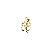 Load image into Gallery viewer, Tinker with Charms- Assorted Charms
