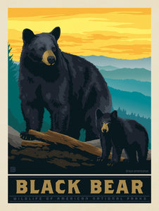 Great Smoky Mountains Black Bear Art Print