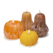 Load image into Gallery viewer, Flameless Pumpkin &amp; Gourd Candles
