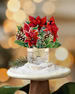 Load image into Gallery viewer, Birch Poinsettia Mini
