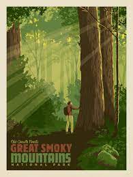 Great Smoky Mountains Old-Growth Forests Art Print