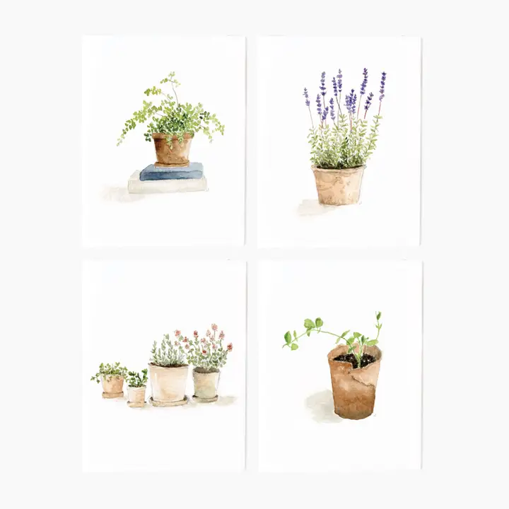 Potted Plants notecards