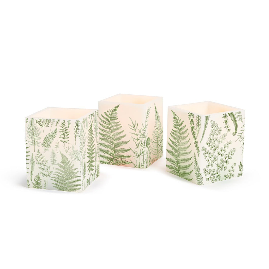 Fern Citronella Lantern Candle