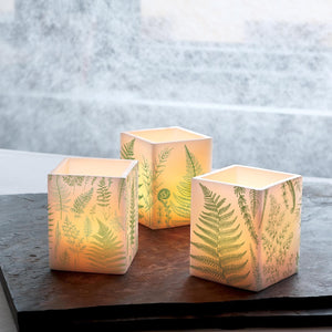 Fern Citronella Lantern Candle