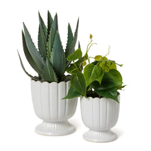 Load image into Gallery viewer, Scalloped Planters
