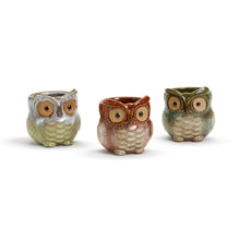 Load image into Gallery viewer, Owl Cachepot in Assorted Colors
