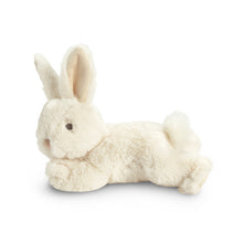 Load image into Gallery viewer, Plush Bunny- You Belong Here
