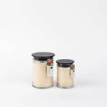 Load image into Gallery viewer, Comfort &amp; Joy- 8 oz. Jar Candle
