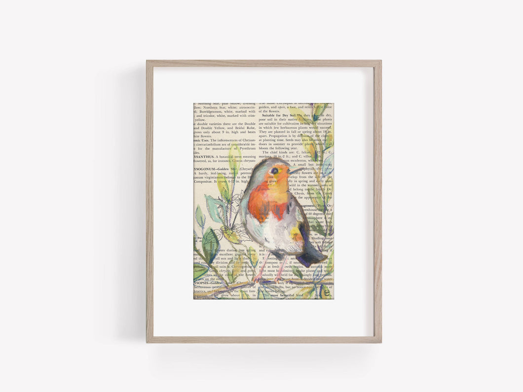 Robin Bird Painting on Gardening Book Page Print, 5x7