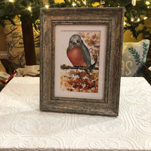 Load image into Gallery viewer, Robin Redbreast 5&quot;x7&quot; Framed Print
