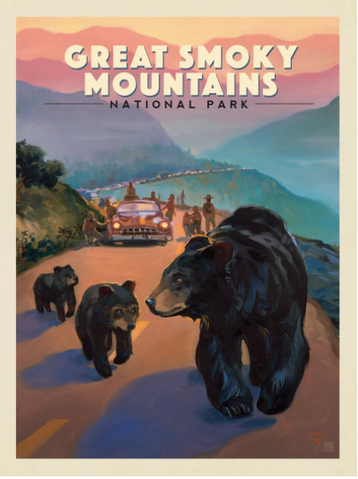 Great Smoky Mountains Bear Jam Art Print