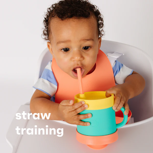 Essential Sippy Lid + Straw