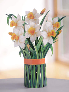 Daffodils Bouquet