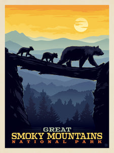 Great Smoky Mountains National Park Bear Crossing at Sunset
