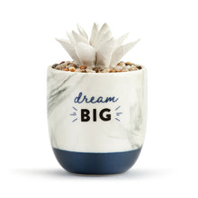 Load image into Gallery viewer, Dream Big Succulent Oil Diffuser

