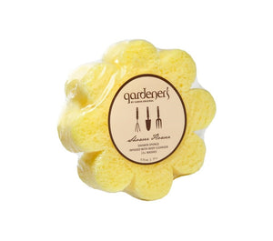 Assorted Soap Sponges by Caren