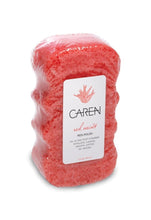 Load image into Gallery viewer, Assorted Soap Sponges by Caren
